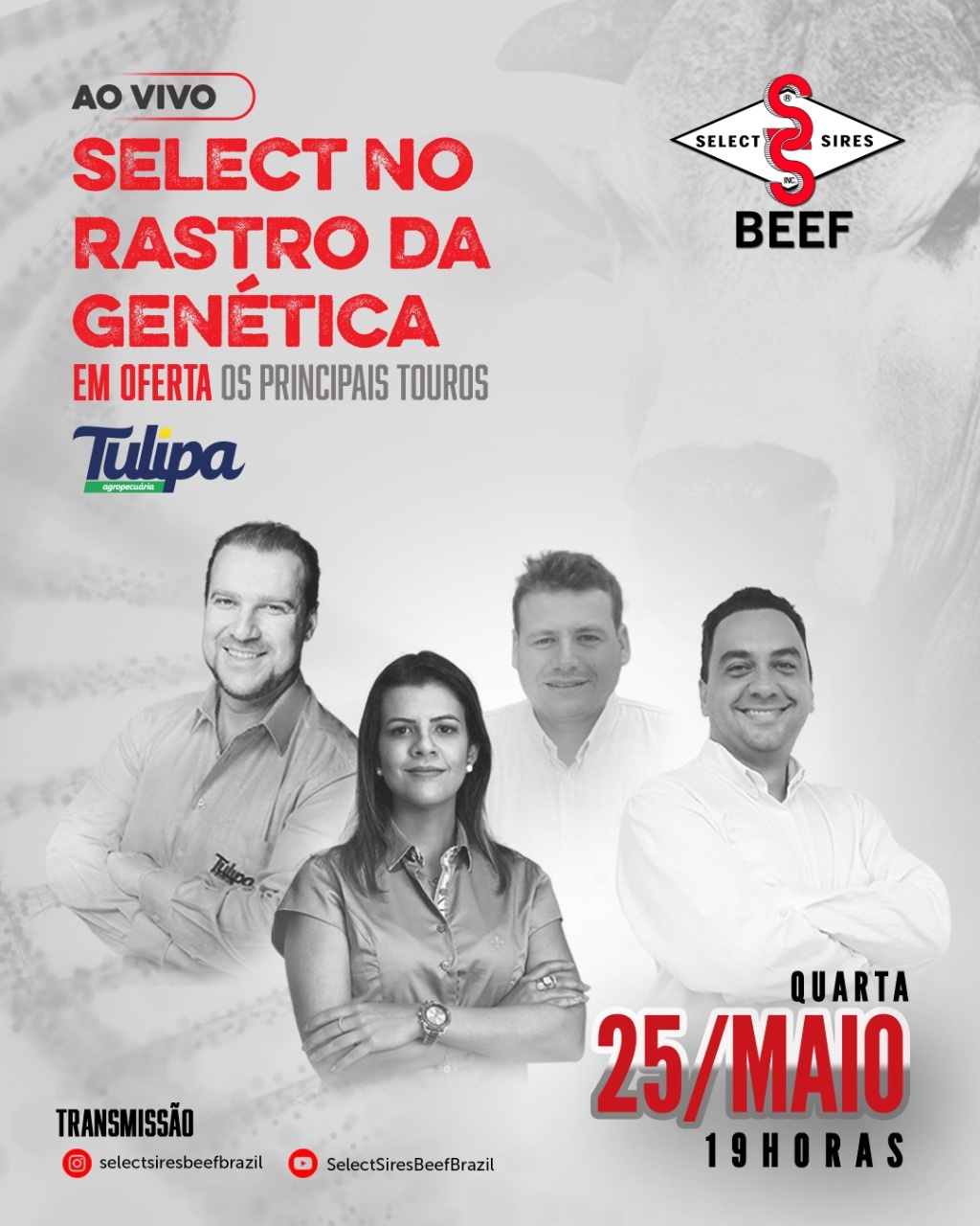 Select Sires | No Rastro da Genética | Tulipa Agropecuária 