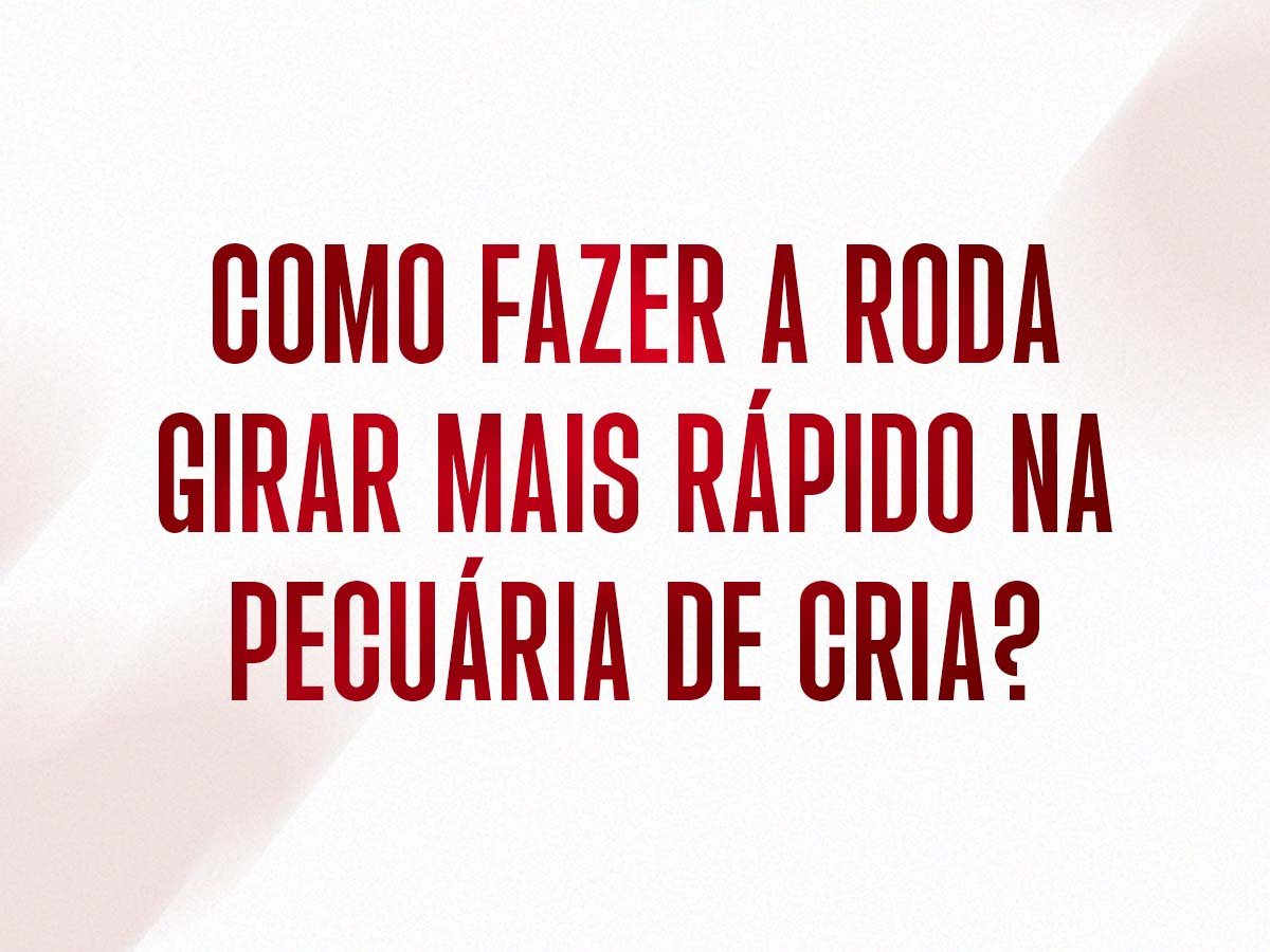 Como fazer a roda girar mais rápido na pecuária de cria?