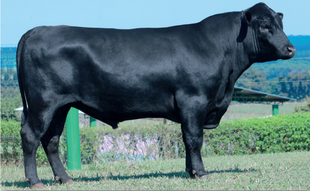 EWA 2100 of 8184 Veracious
