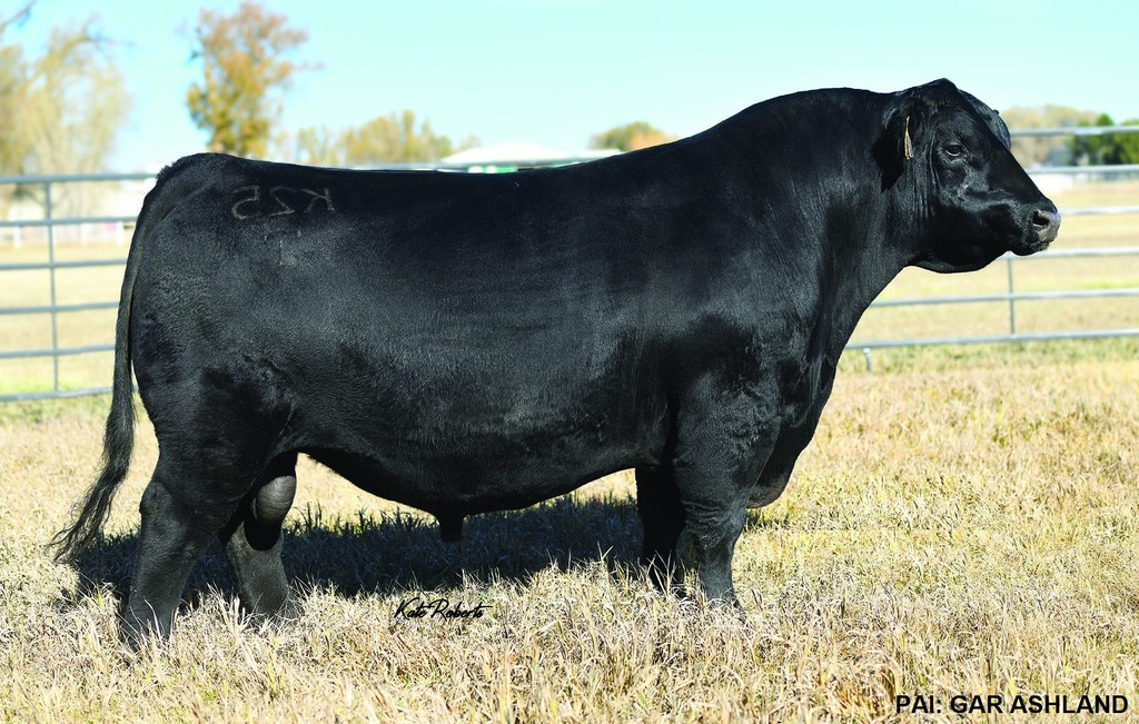 GAR CIMARRON 6858