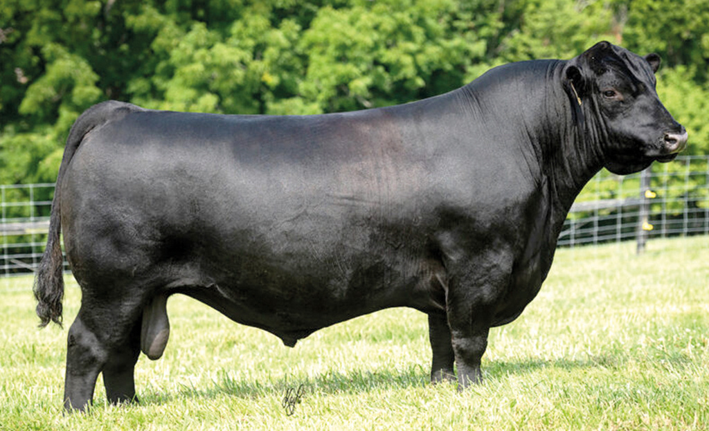 Baldridge MOVIN ON G780