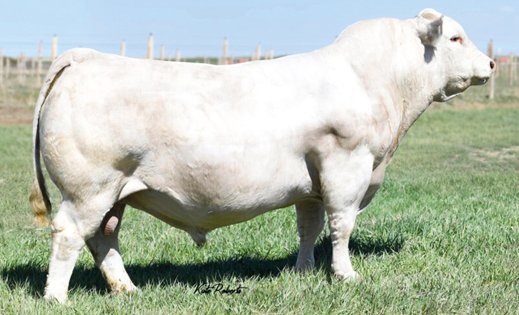 LT AFFINITY 6221 PLD
