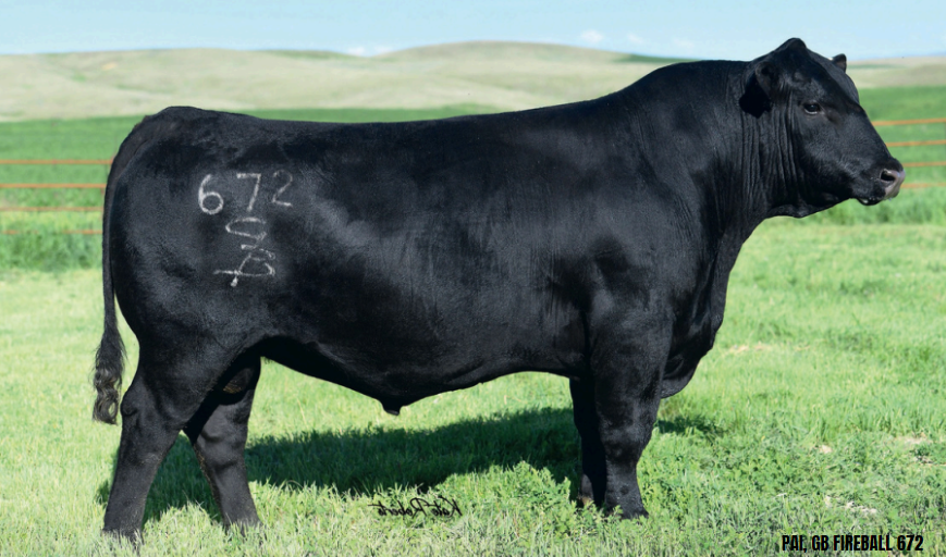 44 FIREBALL 1359