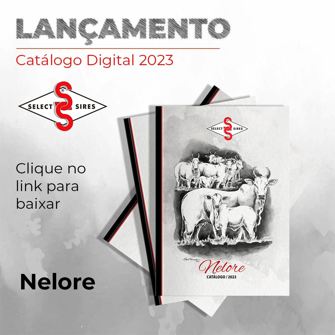 Lançamento do Catalogo Nelore 2023