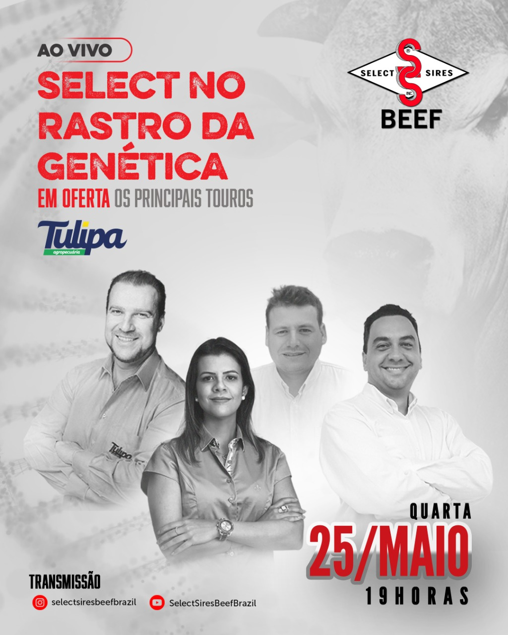 Select Sires | No Rastro da Genética | Tulipa Agropecuária