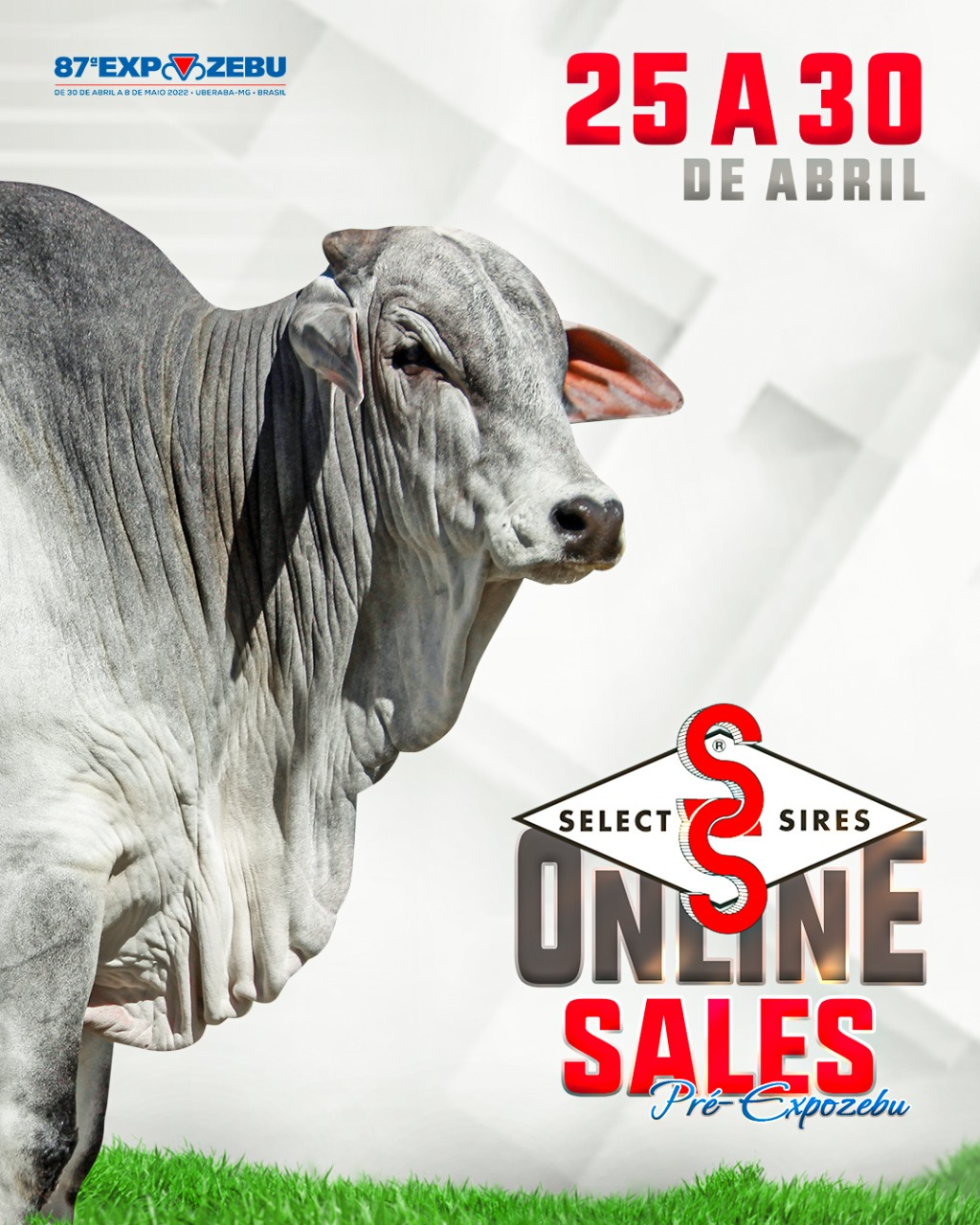 SELECT SIRES ONLINE SALES ESPECIAL PRÉ-EXPOZEBU 