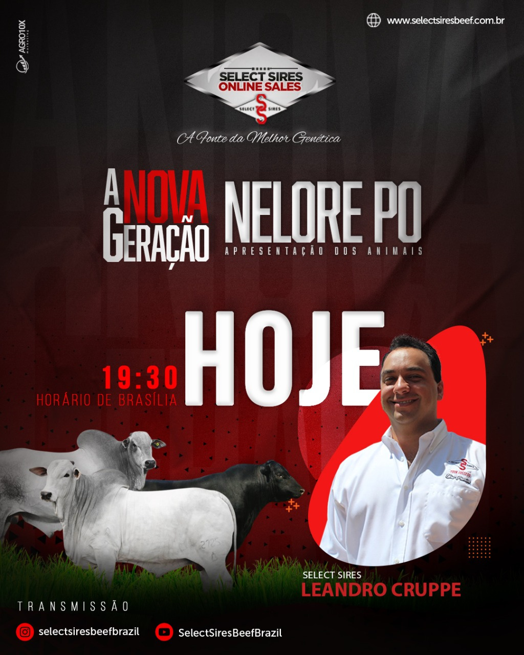 Apresentação dos animais Nelore PO