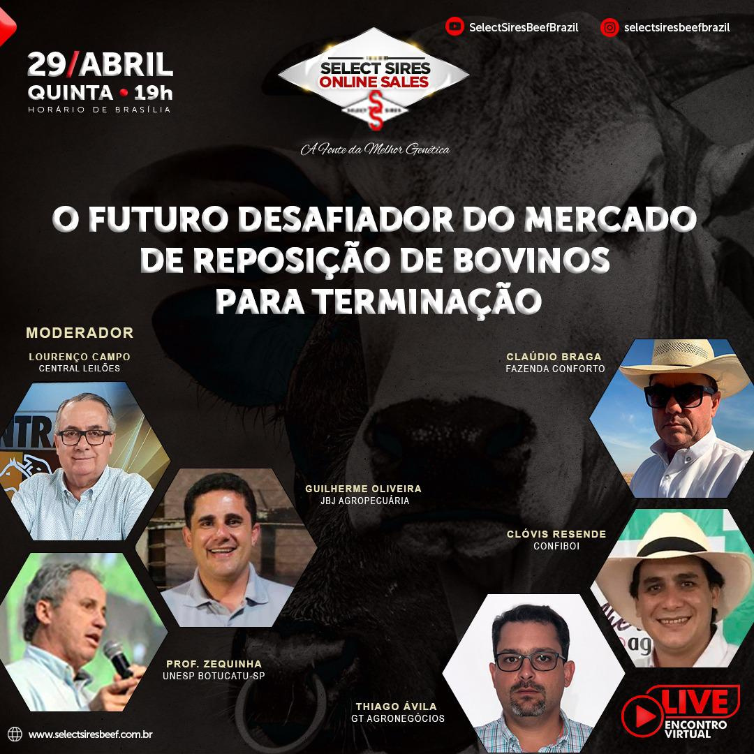 O Futuro Desafiador do Mercado de Reposição de Bovinos para Terminação