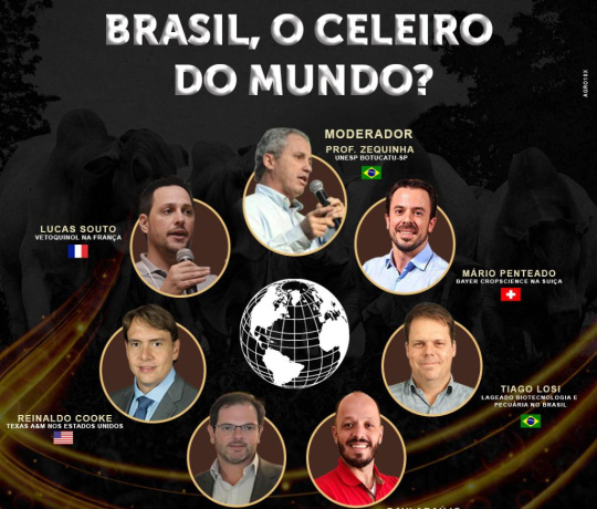 Brasil, o celeiro do mundo?