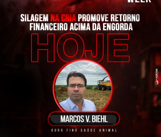 Silagem na Cria promove retorno financeiro acima da Engorda