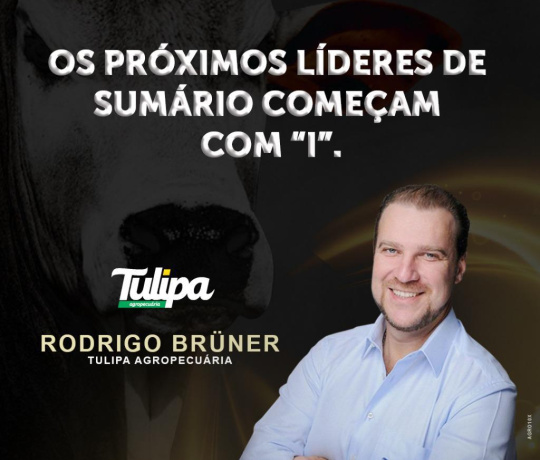 Os Próximos Líderes de Sumário Começam com "I"