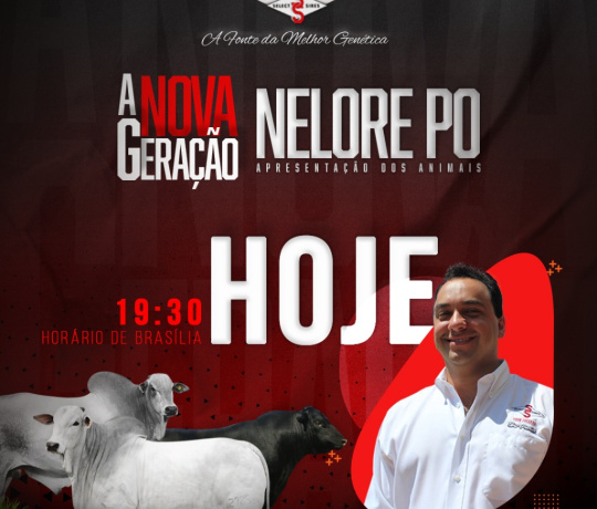 Apresentação dos animais Nelore PO