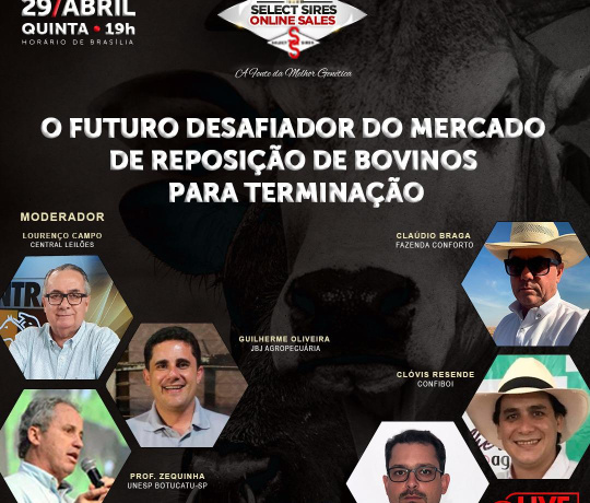 O Futuro Desafiador do Mercado de Reposição de Bovinos para Terminação