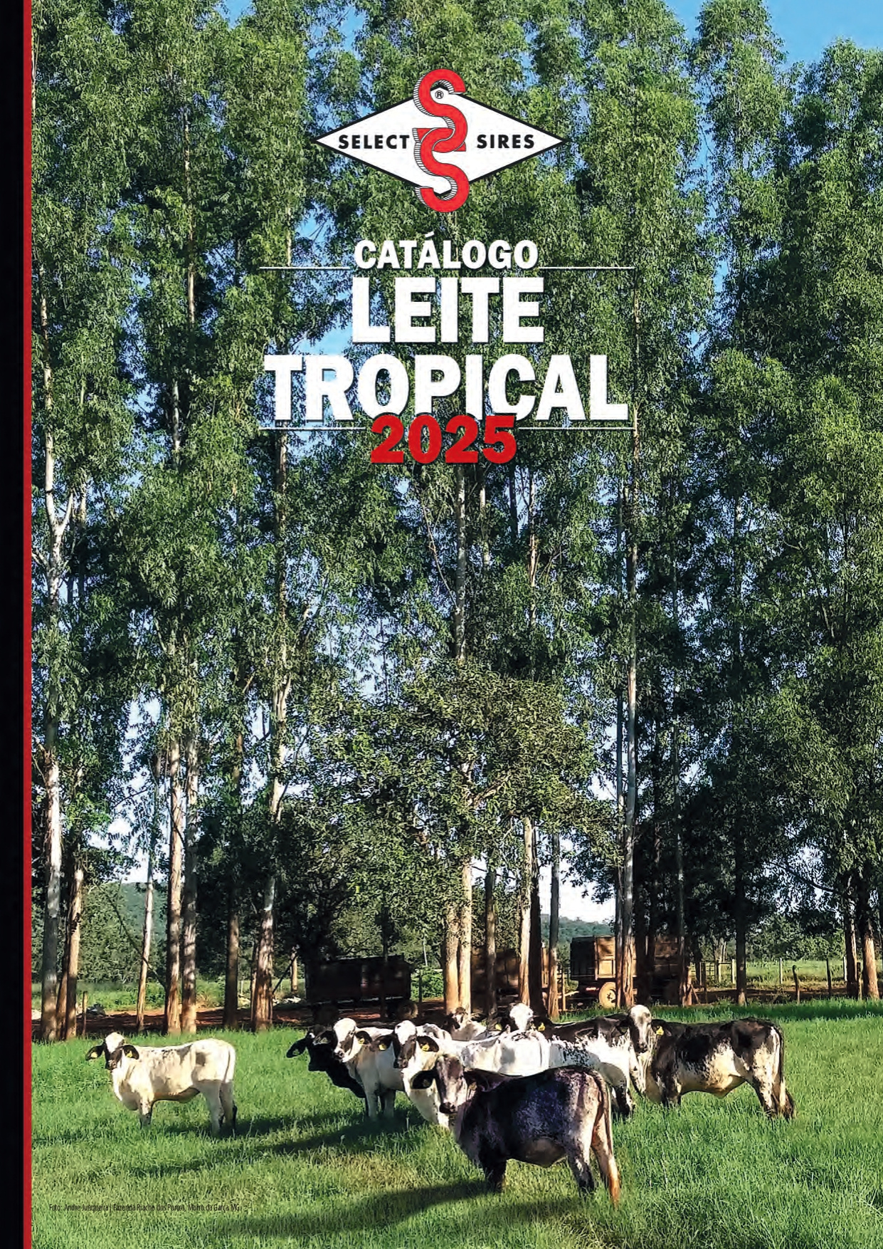 Catálogo Leite Tropical 2024/25