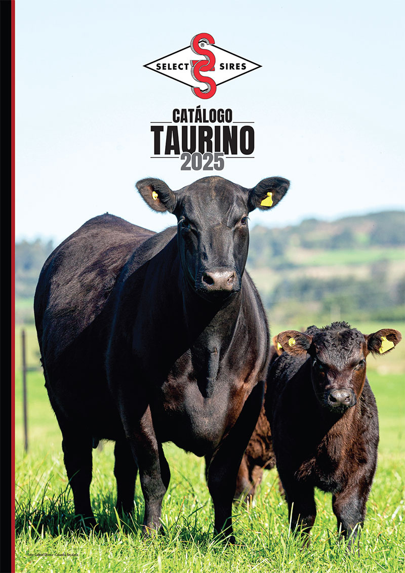 Catálogo Taurino 2025
