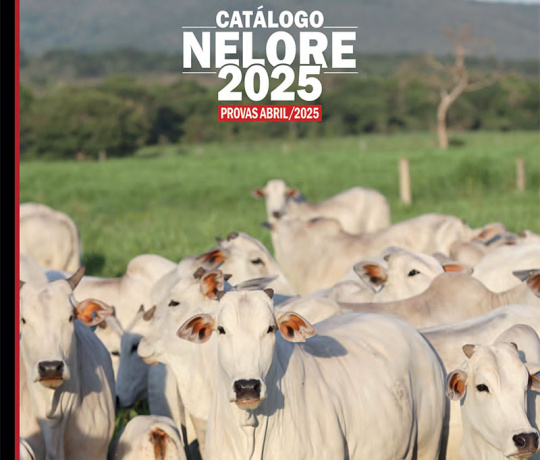 Catálogo Nelore 2025