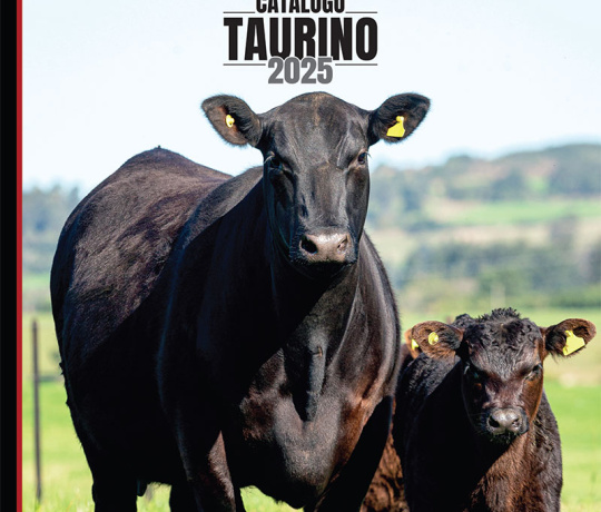 Catálogo Taurino 2025
